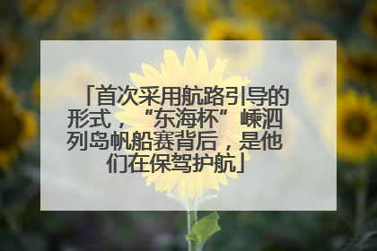 首次采用航路引导的形式，“东海杯”嵊泗列岛帆船赛背后，是他们在保驾护航